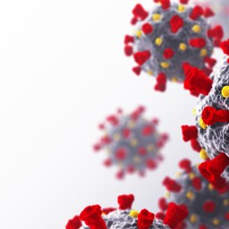 Did Shelter in Place policies work?